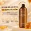 Nước Cân Bằng JMsolution Toner XL 600ml – Rose / Honey / Prime Gold / Water SOS / Marine Pearl
