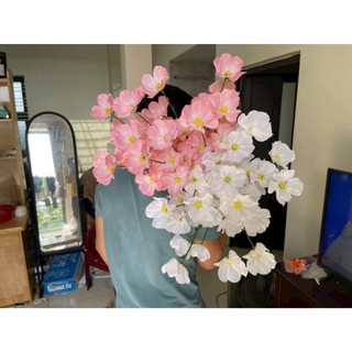 ĐẦU BÔNG HOA CÚC SAO NHÁY, CÚC BƯỚM, HOA LỤA GIẢ ĐẸP, SẮC NÉT, TRANG TRÍ DECOR,...