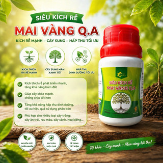 Siêu kích rễ mai vàng Q.A - siêu ra rễ, giâm chiết cành. Tăng tỉ lệ nảy mầm.