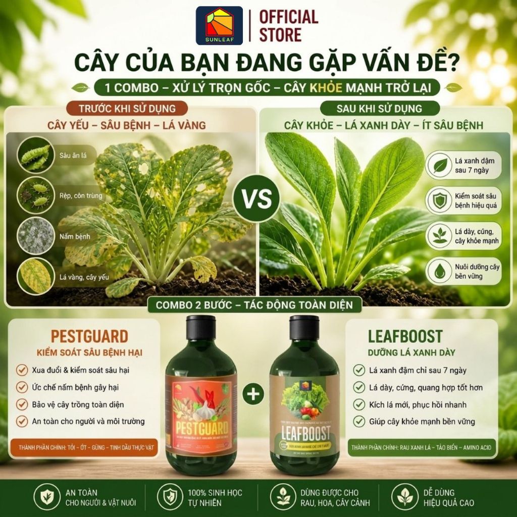 Combo Phòng Rệp Sáp Bọ Trĩ Nhện Đỏ & Dưỡng Lá Phục Hồi | 100% Hữu Cơ | Rau, Phong Lan, Hoa Hồng | SUNLEAF