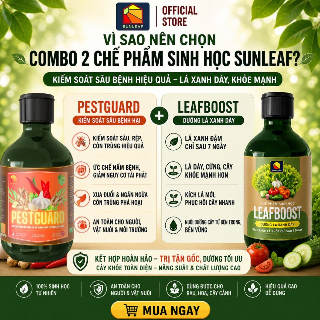 Combo Phòng Rệp Sáp Bọ Trĩ Nhện Đỏ & Dưỡng Lá Phục Hồi | 100% Hữu Cơ | Rau, Phong Lan, Hoa Hồng | SUNLEAF
