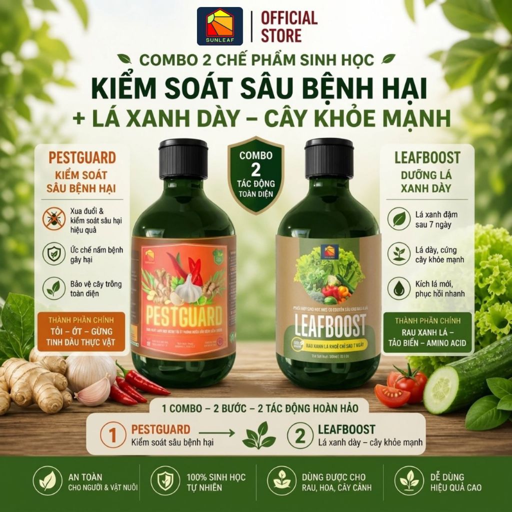 Combo Phòng Rệp Sáp Bọ Trĩ Nhện Đỏ & Dưỡng Lá Phục Hồi | 100% Hữu Cơ | Rau, Phong Lan, Hoa Hồng | SUNLEAF
