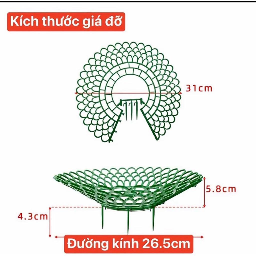 Combo giá đỡ hoa , dâu tây hình tròn