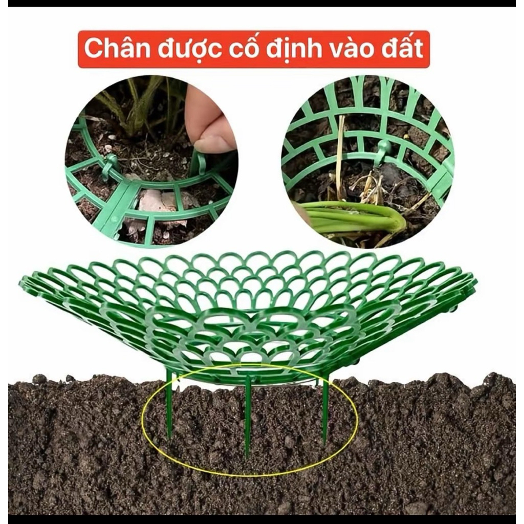 Combo giá đỡ hoa , dâu tây hình tròn