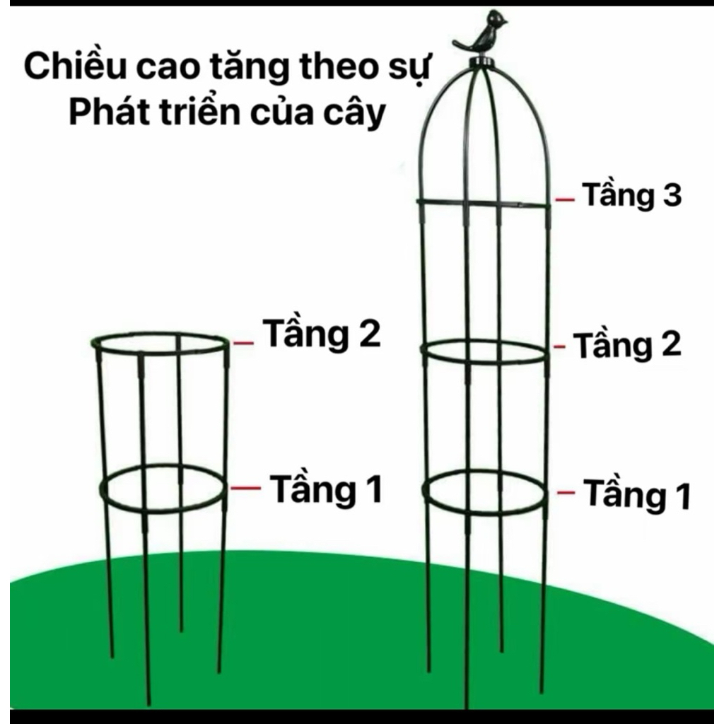 Khung giá đỡ hoa hồng , hoa leo trang trí sân vườn phong cách Châu Âu