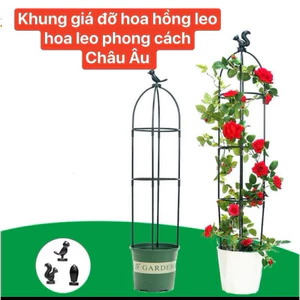 Khung giá đỡ hoa hồng , hoa leo trang trí sân vườn phong cách Châu Âu