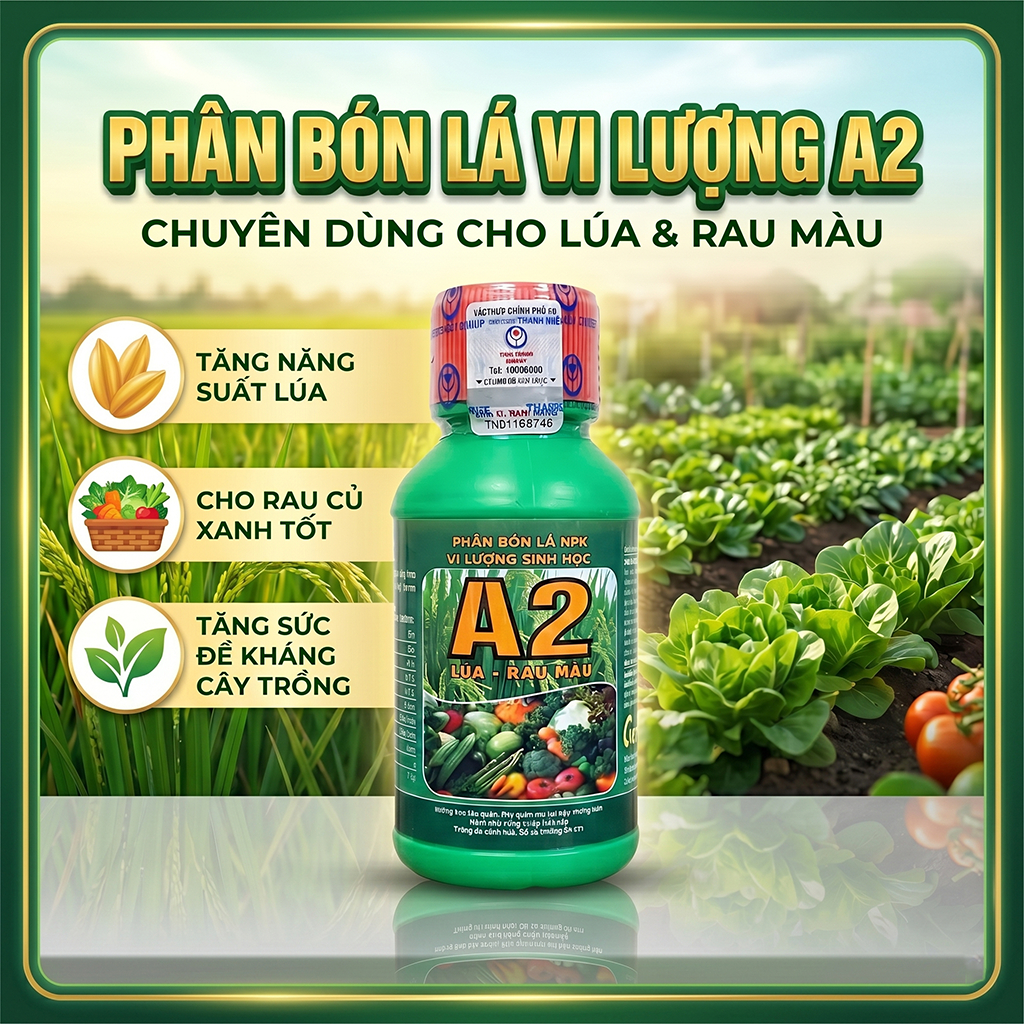 Phân Bón Lá Sinh Học A2 Cho Lúa & Rau Màu – Hỗ Trợ Đẻ Nhánh, Cây Khỏe ...