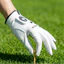 Găng Tay Golf Crision Hàn Quốc Chống Trượt – Găng Tay Thể Thao Đánh Golf Thoáng Khí, Co Giãn, Êm Tay – Tay Trái