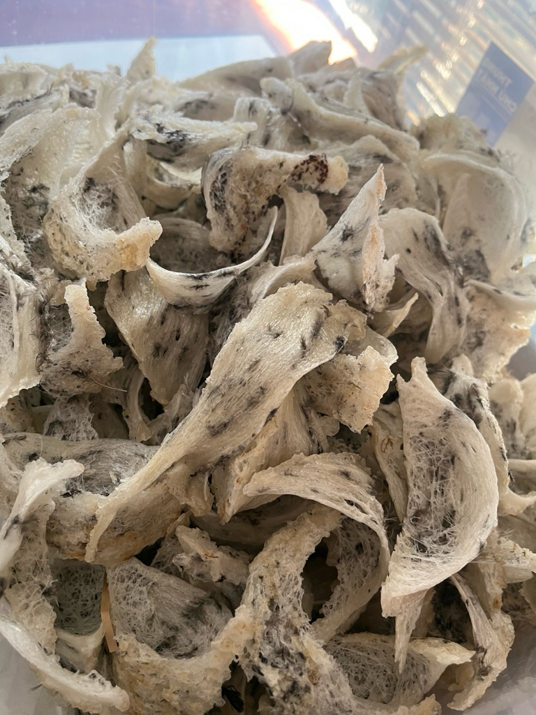 👉 Yến Sào Thô Nguyên Tổ 50G – Tổ Yến Thô Lông Vừa, Vỡ Bể Nhẹ