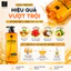 Dầu gội - xả Protein Hàn Quốc mọc tóc, giúp dày tóc Elastine Amino Protein Clinic 855ml