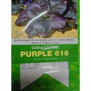 Hạt Giống Cải Thìa Tím Purple, Rau Ăn Lá Rạng Đông gói 2gr, Hạt Nảy Mầm Nhanh, Mạnh