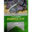 Hạt Giống Cải Thìa Tím Purple, Rau Ăn Lá Rạng Đông gói 2gr, Hạt Nảy Mầm Nhanh, Mạnh