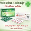 Viên đặt trĩ Doctorlog, giúp giảm đau rát và co búi trĩ an toàn, hiệu quả từ thiên nhiên (Hộp 10 viên)