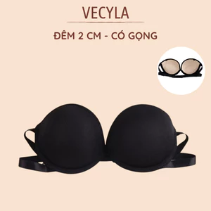 Áo Lót Nữ , Áo Ngực Nữ đệm tim có gọng nâng vòng một gợi cảm quyến rũ mã A16 BC_CHIC LINGERIE