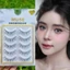 MI MUSE MG53 - MI HOTTREND----LeeVelvetLashes