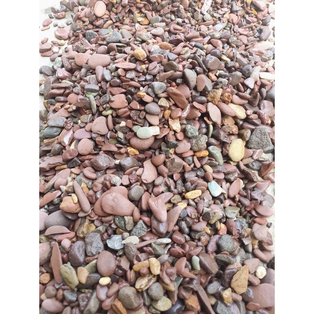 ( .. Sạn suối tự nhiên mix size (1kg) - Vật liệu trang trí, trải nền, tạo cảm giác tự nhiên cho hồ cá cảnh, thuỷ sinh .)