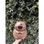 Heo đất Maison lợn đất tiết kiệm Chuột Capybara lỗ tròn size lớn cute