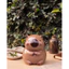 Heo đất Maison lợn đất tiết kiệm Chuột Capybara lỗ tròn size lớn cute