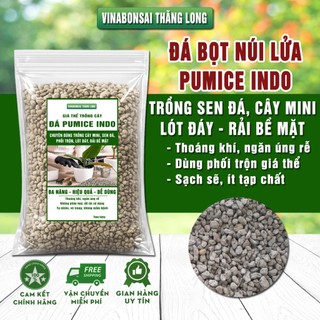 Đá bọt PUMICE- Vinabonsai,  Đất Trồng Sen Đá, Giá Thể Trồng Cây, Lót Chậu, Nhiều Khoáng Chất