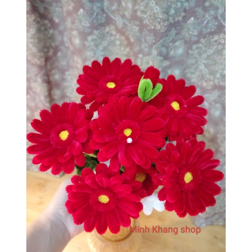 Chậu Hoa Đồng Tiền Kẽm Nhung, chậu hoa mini, chậu hoa để bàn, trang trí nhà cửa phòng làm việc, quà tặng ý nghĩa