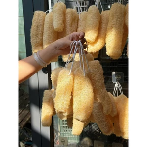 Xơ Mướp Trái Size 10-14 cm Tự Nhiên Dùng Tắm & Rửa Chén Đa Năng