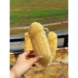 Xơ Mướp Trái Size 15-19 cm Tự Nhiên Dùng Tắm & Rửa Chén Đa Năng