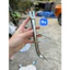 Chân chống phụ (cạnh) inox