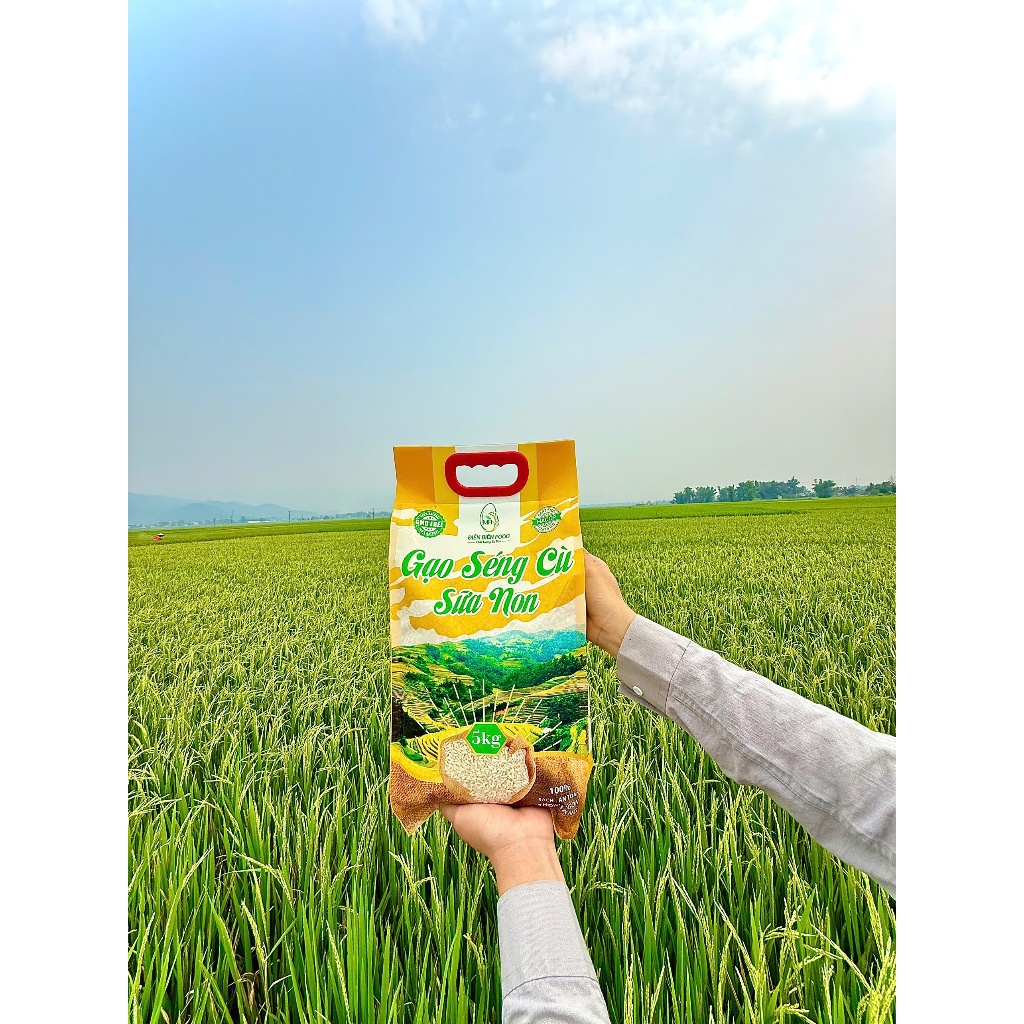 Gạo Séng Cù Sữa Non Hạt Dài Điện Biên Dẻo Nhiều Ngon Ngọt Cơm bao 5kg
