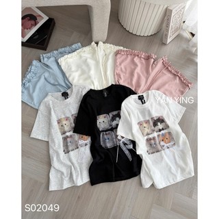 SET BỘ PHÔNG IN HÌNH BỐN CHÚ MÈO MIX QUẦN ĐÙI BÈO