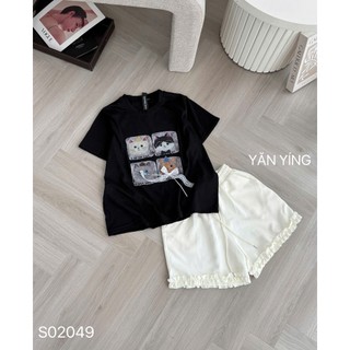 SET BỘ PHÔNG IN HÌNH BỐN CHÚ MÈO MIX QUẦN ĐÙI BÈO