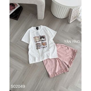 SET BỘ PHÔNG IN HÌNH BỐN CHÚ MÈO MIX QUẦN ĐÙI BÈO