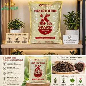 Phân Bò Ủ Vi Sinh SFARM 2KG – Phân Hữu Cơ Sạch, Cải Tạo Đất