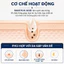 Dung dịch tẩy da chết và thu nhỏ lỗ chân lông Paula's Choice Treatment 2% BHA 30ml