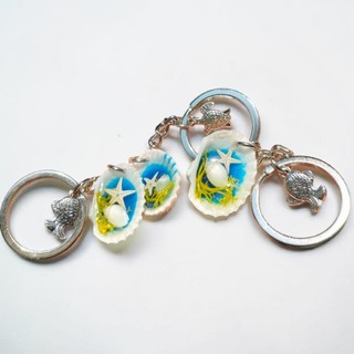[Hàng sẵn] Móc khóa vỏ sò thật handmade DIY keychains sao biển thật quà ...