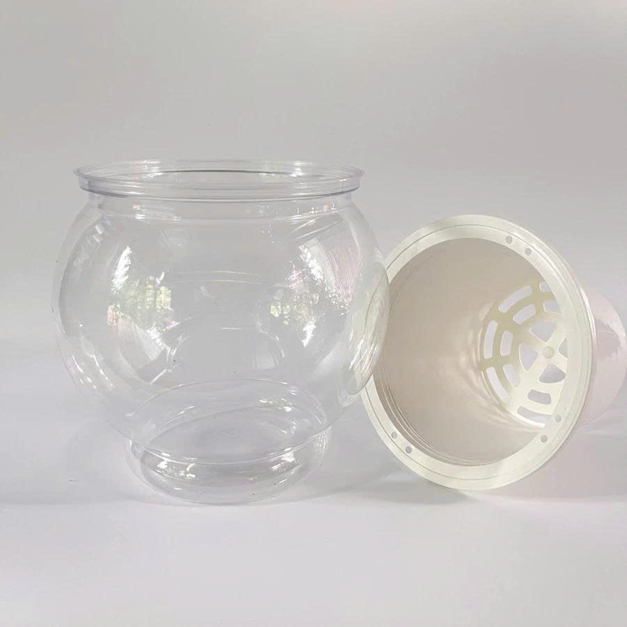 Chậu trồng cây thuỷ sinh size to 8150/9150, chậu tự tưới thông minh, bể cá mini để bàn