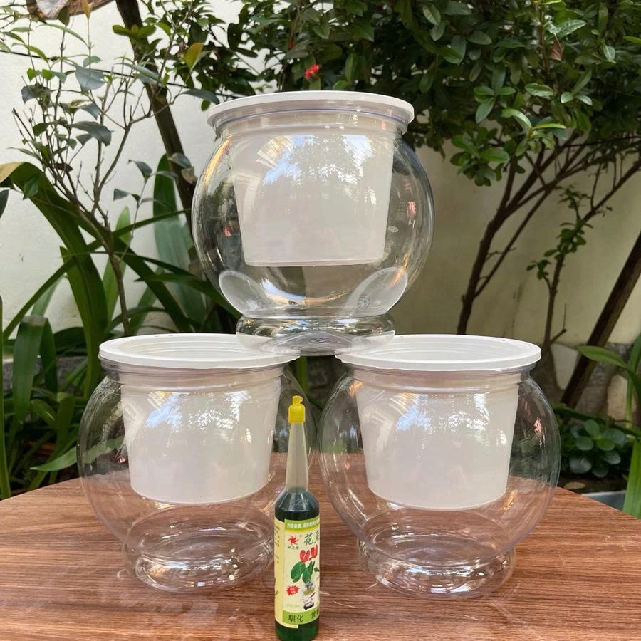 Chậu trồng cây thuỷ sinh size to 8150/9150, chậu tự tưới thông minh, bể cá mini để bàn