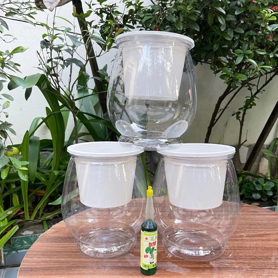 Chậu trồng cây thuỷ sinh size to 9150 kt 18*13cm, chậu tự tưới thông minh, bể cá mini để bàn