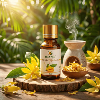 Tinh dầu Hoa Ngọc Lan Tây nguyên chất - Hoa Nén - Hương thơm sang trọng, thư giãn, đẹp da - 10ml