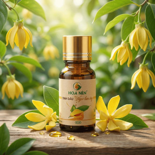 Tinh dầu Hoa Ngọc Lan Tây nguyên chất 30ml, 10ml - Hoa Nén - Hương thơm mát, khử mùi,ẩm mốc
