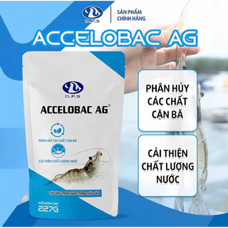 ( COMBO 15 GÓI) ACCELOBAC AG 22G- phân hủy các chất cặn bã, cải thiện chất lượng nước ao nuôi