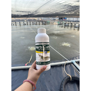 [BỘ ĐÔI GAN TÔM] HERB CURE + INNO-LIV Giúp gan tôm đẹp, bóng, khỏe - Giải Độc Tăng cường chức năng gan