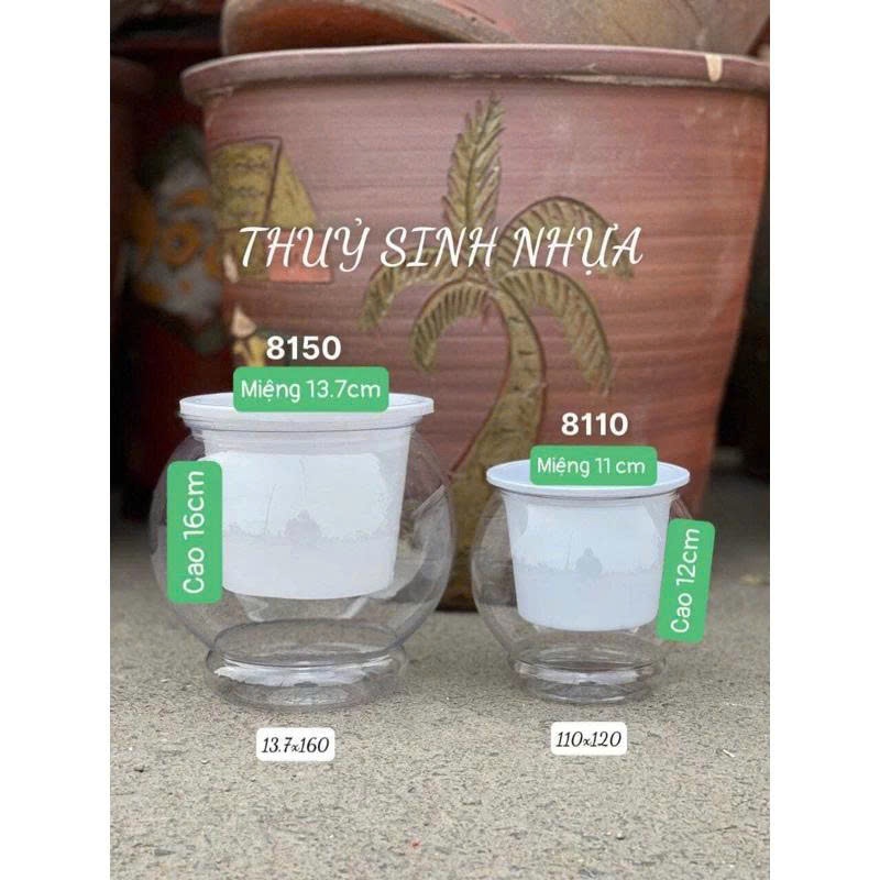 Chậu trồng cây thuỷ sinh size to 8150 kt 16*13cm, chậu tự tưới thông minh, bể cá mini để bàn