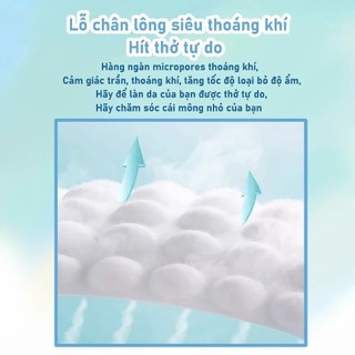 [chó cái]Tushie Treats Tã lót cho chó cái,tã chó cái siêu mềm, thấm hút tốt, tiện lợi,thoáng khí và không ngột ngạt
