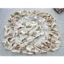BỘ GA ĐŨI ĐẬU KÈM VỎ GỐI 3 MÓN SIZE 1M8 X 2M ([Khách chọn màu note ghi chú hoặc nhắn tin shop )