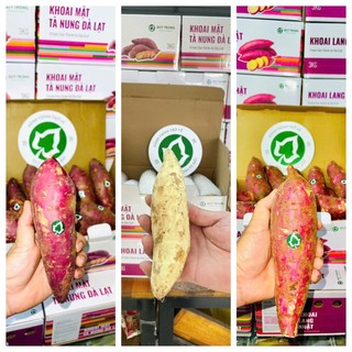 Mix 3 Loại | Khoai Lang Quý Trọng Thùng 3kg : Khoai Mật + Khoai Nhật + Khoai Sữa (Mỗi Loại 1kg) – Ăn Thử Đủ Vị