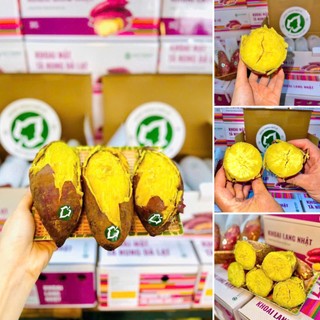 Mix 3 Loại | Khoai Lang Quý Trọng Thùng 3kg : Khoai Mật + Khoai Nhật + Khoai Sữa (Mỗi Loại 1kg) – Ăn Thử Đủ Vị