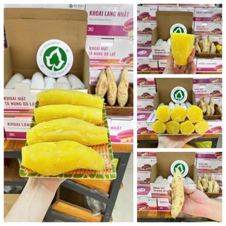 Mix 3 Loại | Khoai Lang Quý Trọng Thùng 3kg : Khoai Mật + Khoai Nhật + Khoai Sữa (Mỗi Loại 1kg) – Ăn Thử Đủ Vị