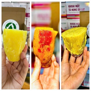 Mix 3 Loại | Khoai Lang Quý Trọng Thùng 3kg : Khoai Mật + Khoai Nhật + Khoai Sữa (Mỗi Loại 1kg) – Ăn Thử Đủ Vị