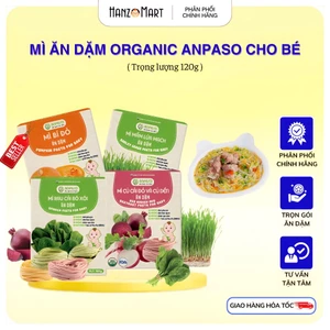 Mì Ăn Dặm cho bé Anpaso từ rau củ hữu cơ - Đồ Ăn Dặm Cho Bé 6 Tháng tuổi Bổ Sung Vitamin, Chất Xơ