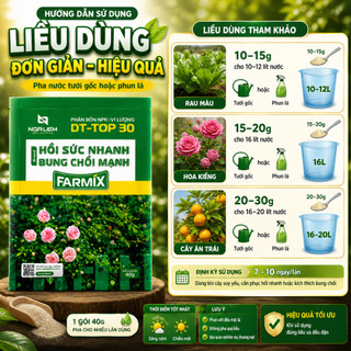 NPK vi lượng FARMIX 40gram “HỒI SỨC NHANH – BUNG CHỒI MẠNH” Phát Triển Lá, cành rễ